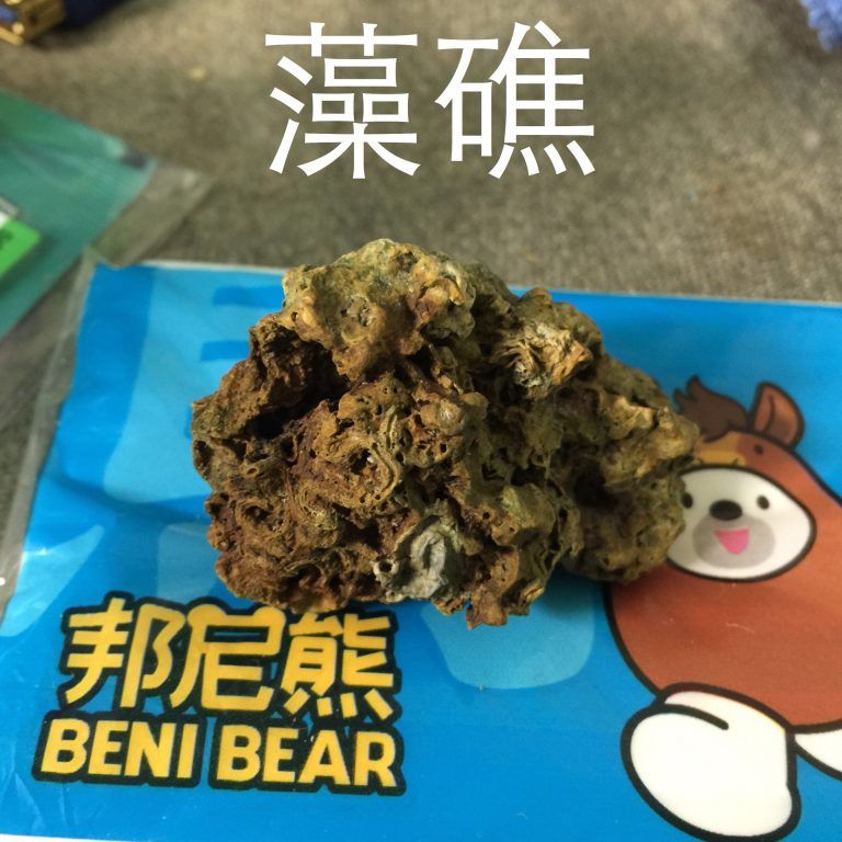 20150522-參觀觀新藻礁生態系野生動物保護區
