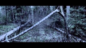 ARKONA - Zov pustyh dereven' (Official Video) | Napalm Records