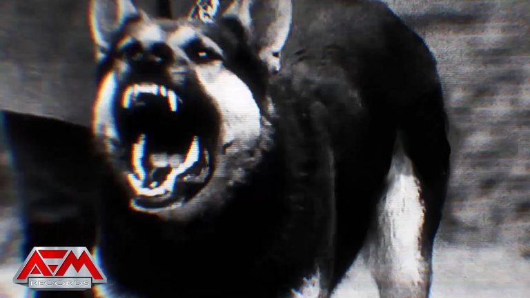 ONSLAUGHT – Strike Fast Strike Hard (2020) // Official Lyric Video // AFM Records