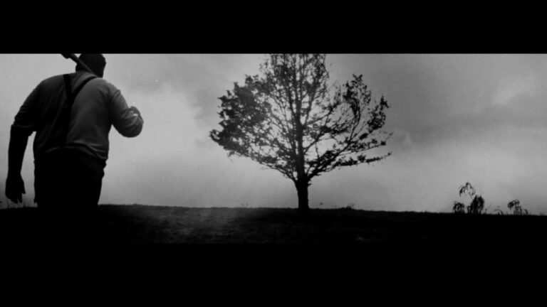 GOD IS AN ASTRONAUT – Barren Trees (Official Video) | Napalm Records