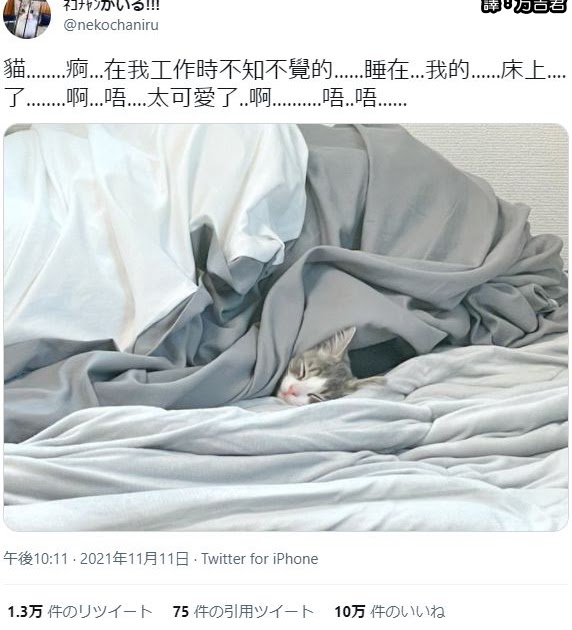 [轉載][方吉君翻推特] 推特上在夯什麼 Part.677