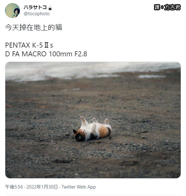 [轉載][方吉君翻推特] 推特上在夯什麼 Part.717