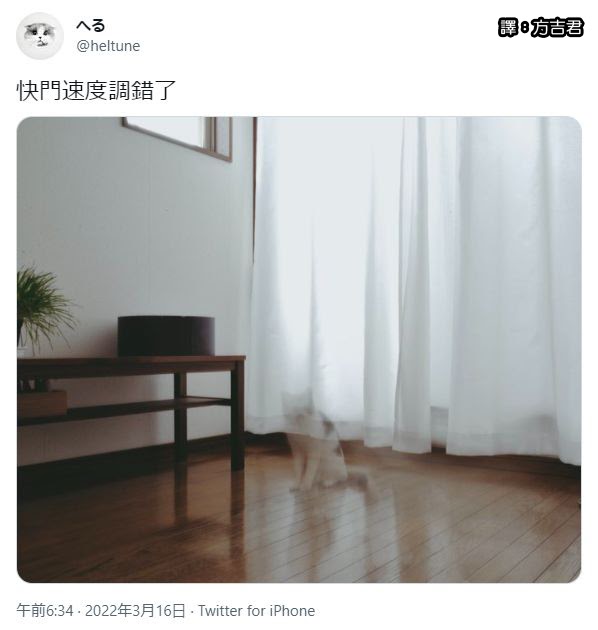 [轉載][方吉君翻推特] 推特上在夯什麼 Part.763