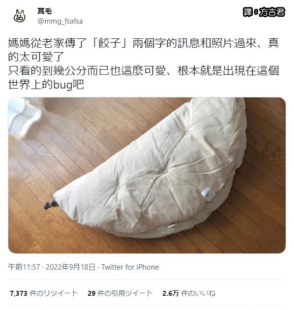 [轉載][方吉君翻推特] 推特上在夯什麼 Part.937