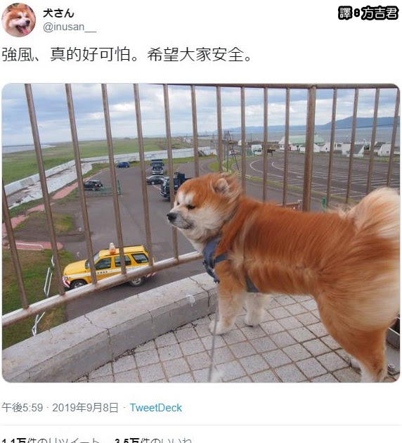 [轉載][方吉君翻推特] 推特上在夯什麼 Part.之前的颱風