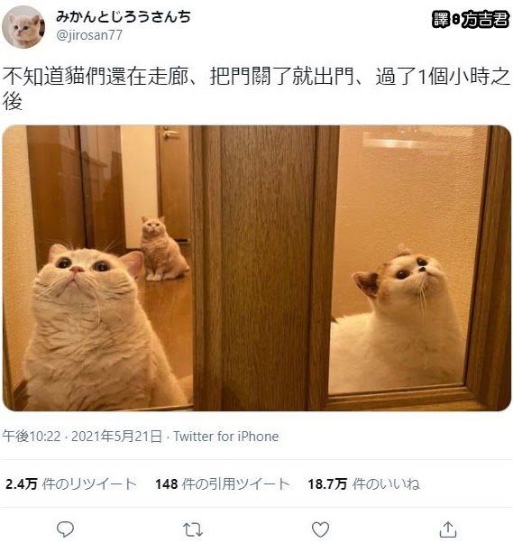 [轉載][方吉君翻推特] 推特上在夯什麼 Part.999