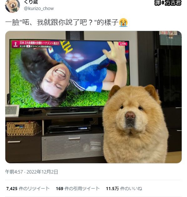 [轉載][方吉君翻推特] 推特上在夯什麼 Part.日本世界盃踢贏西班牙 Part.1.0