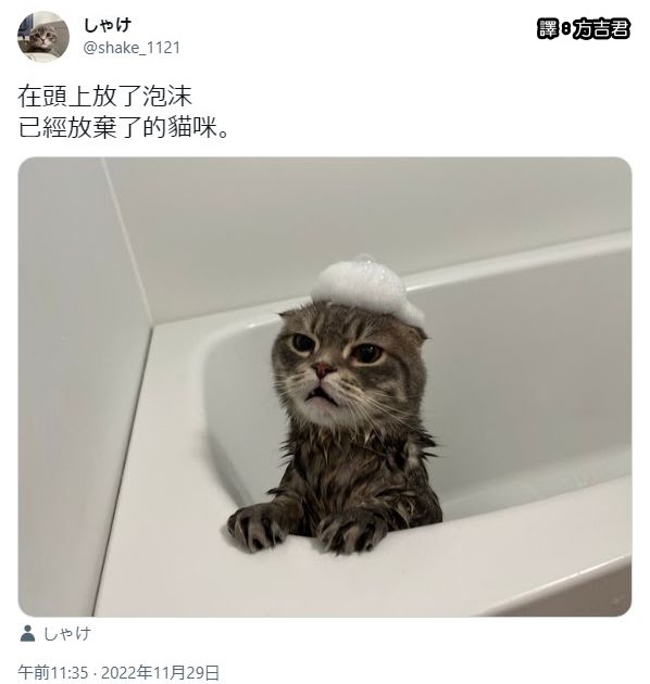 [轉載][方吉君翻推特] 推特上在夯什麼 Part.1009