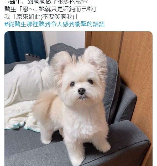 [轉載][方吉君翻推特] 推特上在夯什麼 Part.聽醫生的話 6.0