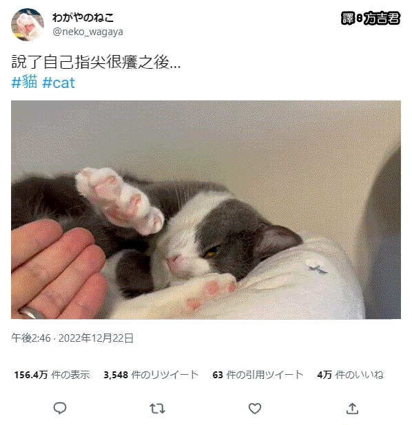 [轉載][方吉君翻推特] 推特上在夯什麼 Part.1028