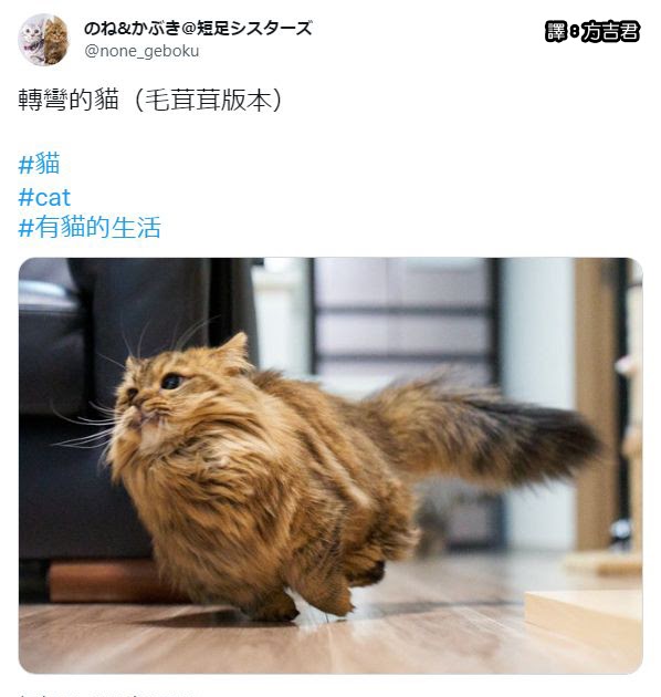 [轉載][方吉君翻推特] 推特上在夯什麼 Part.1047