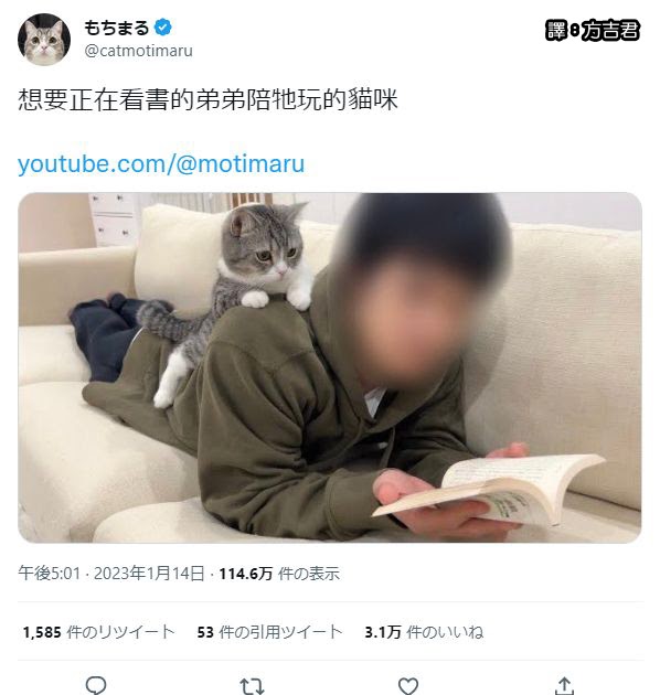 [轉載][方吉君翻推特] 推特上在夯什麼 Part.1054