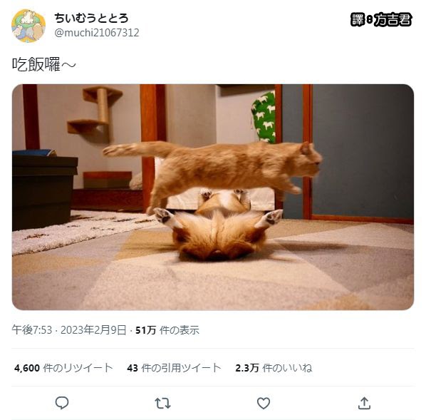 [轉載][方吉君翻推特] 推特上在夯什麼 Part.1072