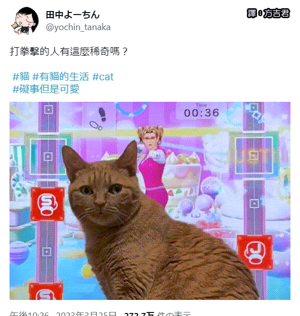 [轉載][方吉君翻推特] 推特上在夯什麼 Part.1104