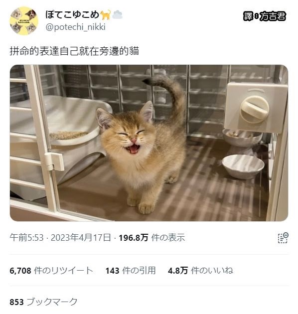 [轉載][方吉君翻推特] 推特上在夯什麼 Part.1139