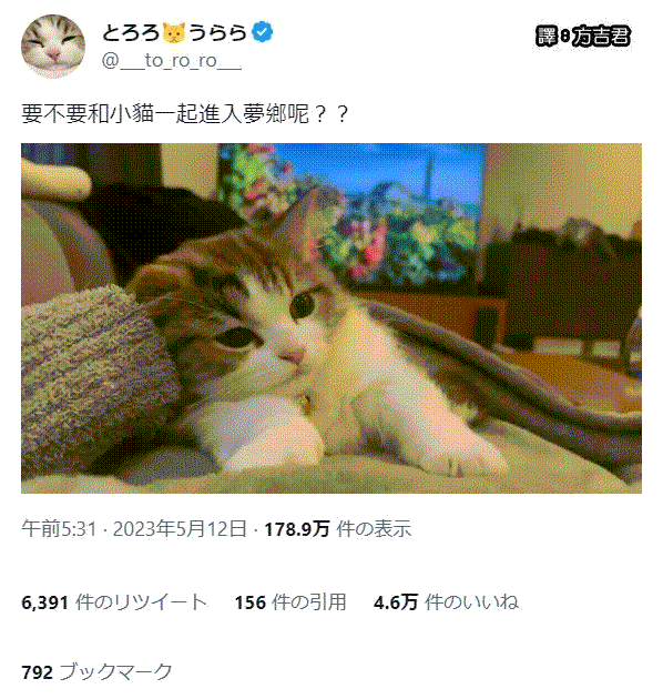 [轉載][方吉君翻推特] 推特上在夯什麼 Part.1153