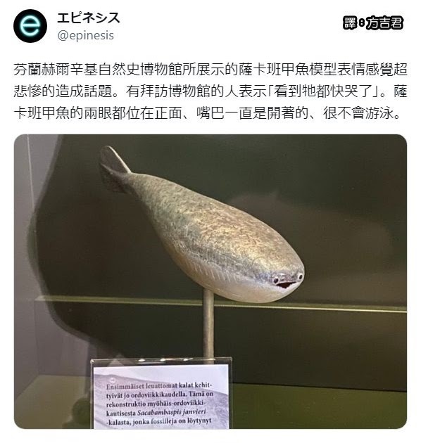 [轉載][方吉君翻推特] 推特上在夯什麼 Part.薩卡班甲魚
