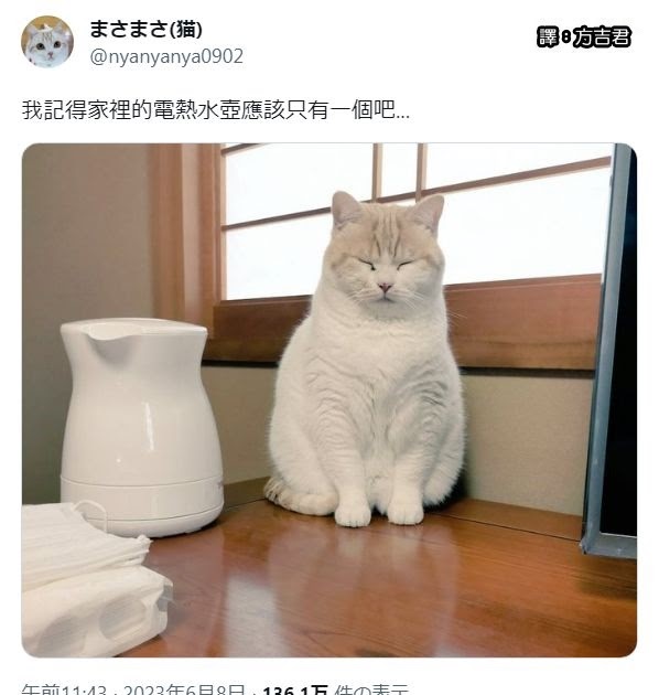 [轉載][方吉君翻推特] 推特上在夯什麼 Part.1182