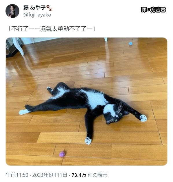 [轉載][方吉君翻推特] 推特上在夯什麼 Part.1184