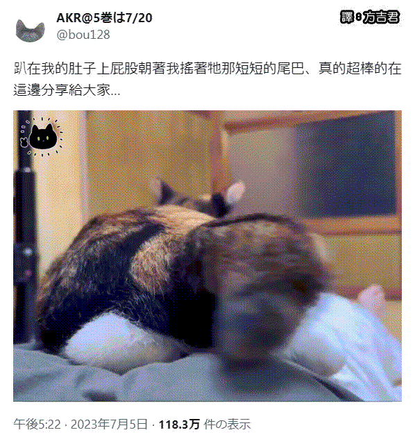 [轉載][方吉君翻推特] 推特上在夯什麼 Part.1209