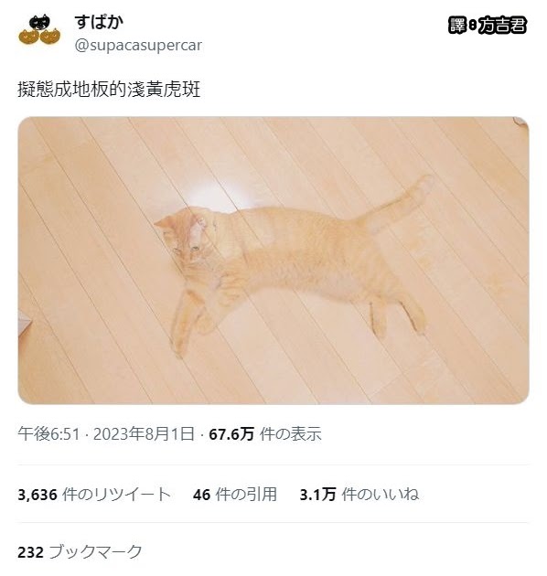 [轉載][方吉君翻推特] 推特上在夯什麼 Part.1234