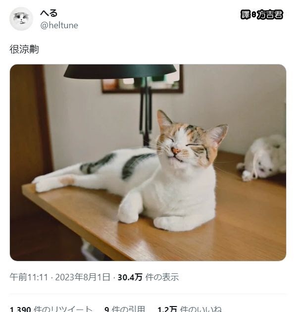 [轉載][方吉君翻推特] 推特上在夯什麼 Part.1249