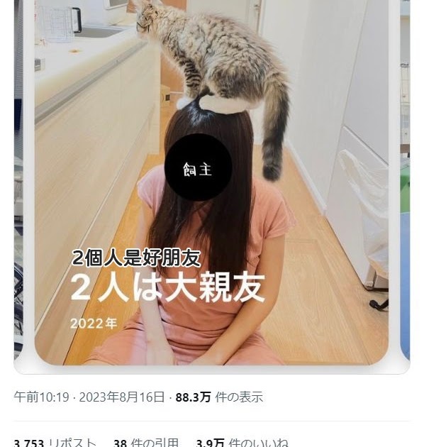 [轉載][方吉君翻推特] 推特上在夯什麼 Part.1264