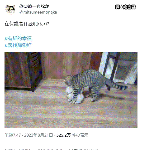 [轉載][方吉君翻推特] 推特上在夯什麼 Part.1265