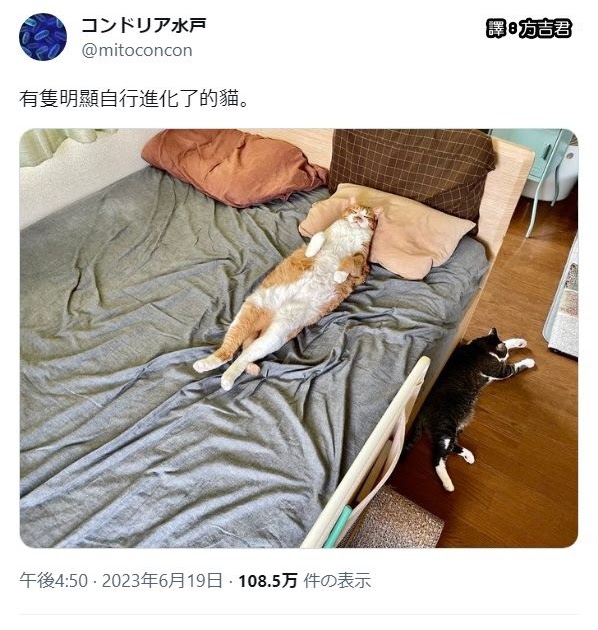 [轉載][方吉君翻推特] 推特上在夯什麼 Part.1271