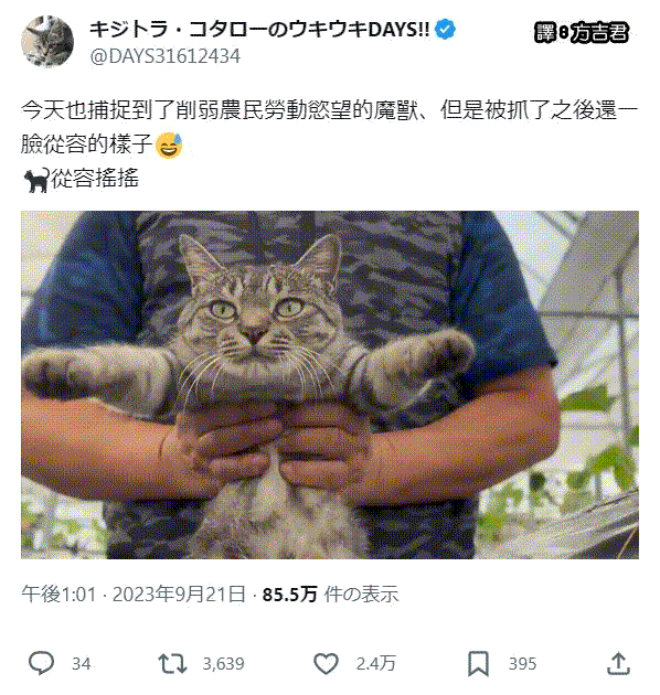 [轉載][方吉君翻推特] 推特上在夯什麼 Part.1283