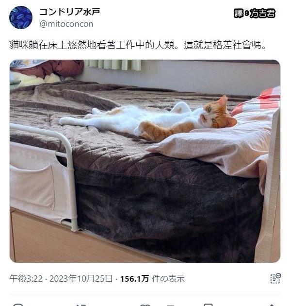 [轉載][方吉君翻推特] 推特上在夯什麼 Part.1319