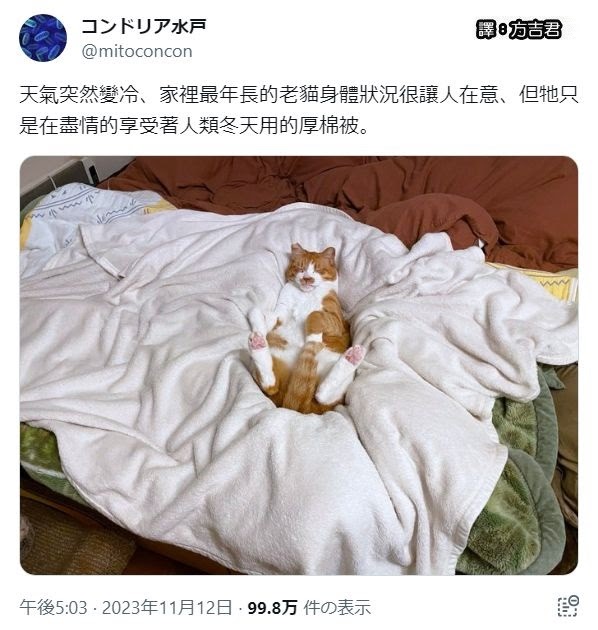 [轉載][方吉君翻推特] 推特上在夯什麼 Part.1341