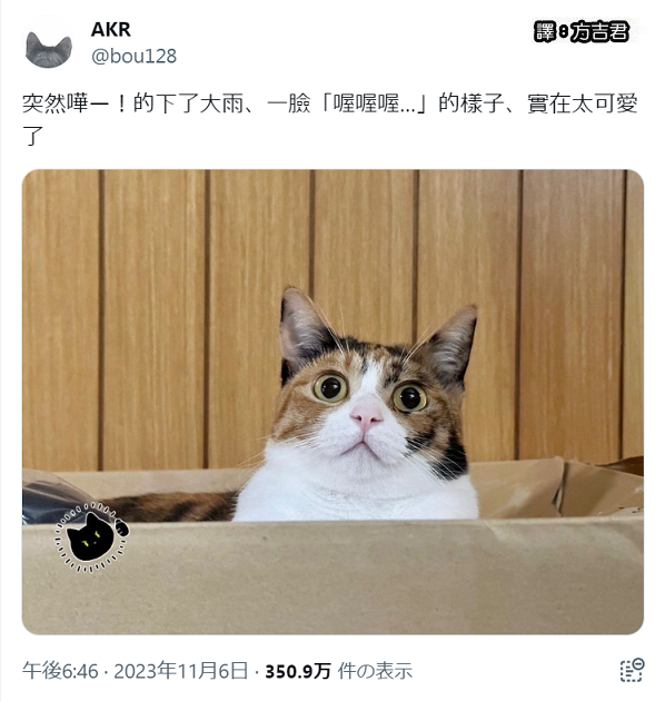 [轉載][方吉君翻推特] 推特上在夯什麼 Part.1329