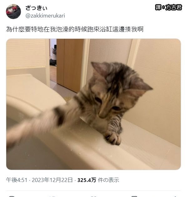 [轉載][方吉君翻推特] 推特上在夯什麼 Part.1373