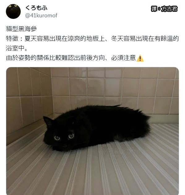 [轉載][方吉君翻推特] 推特上在夯什麼 Part.1402