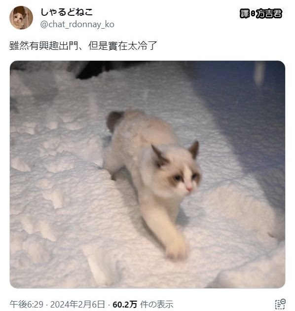 [轉載][方吉君翻推特] 推特上在夯什麼 PART.日本大雪 2.0