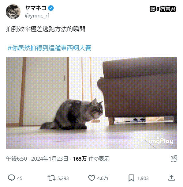 [轉載][方吉君翻推特] 推特上在夯什麼 PART.1426