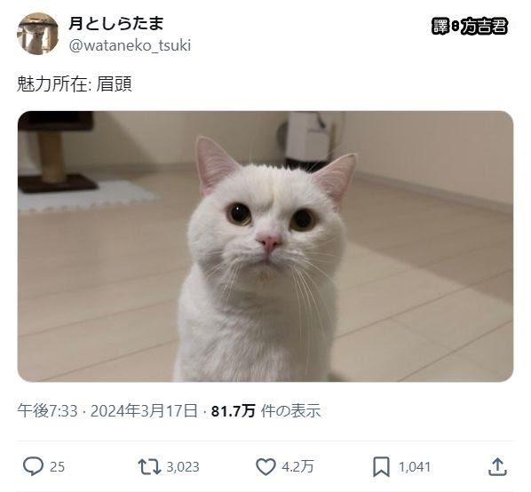 [轉載][方吉君翻推特] 推特上在夯什麼 PART.1456