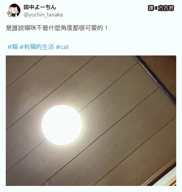 [轉載][方吉君翻推特] 推特上在夯什麼 Part.1528