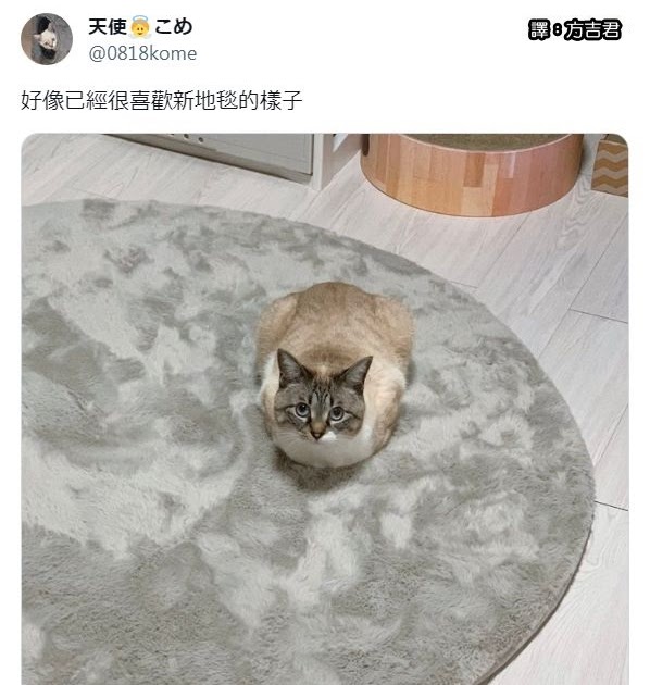 [轉載][方吉君翻推特] 推特上在夯什麼 Part.1548
