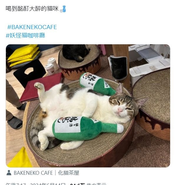 [轉載][方吉君翻推特] 推特上在夯什麼 Part.1558