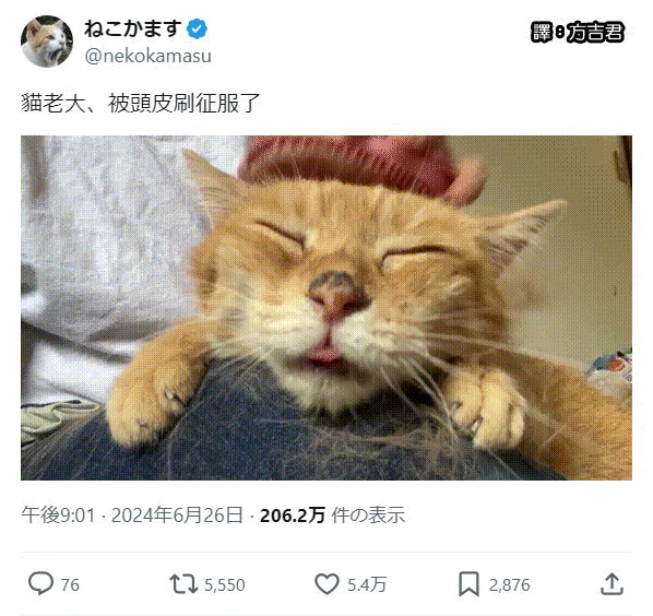 [轉載][方吉君翻推特] 推特上在夯什麼 Part.1568