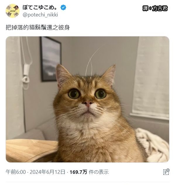 [轉載][方吉君翻推特] 推特上在夯什麼 Part.1570