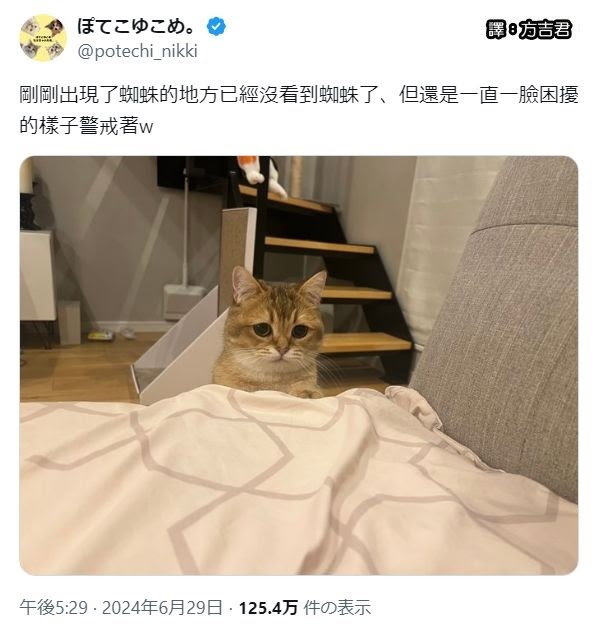 [轉載][方吉君翻推特] 推特上在夯什麼 Part.1572