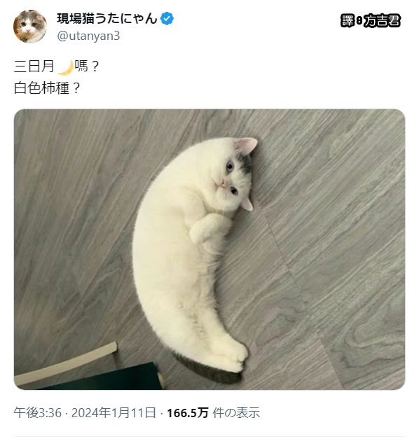 [轉載][方吉君翻推特] 推特上在夯什麼 Part.1575