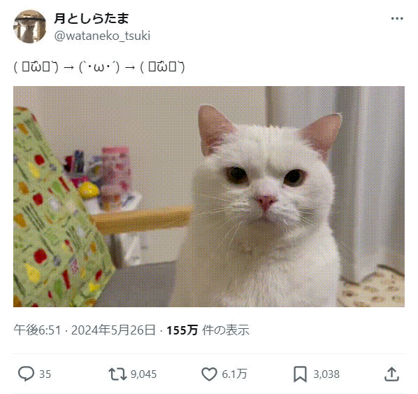 [轉載][方吉君翻推特] 推特上在夯什麼 Part.1560