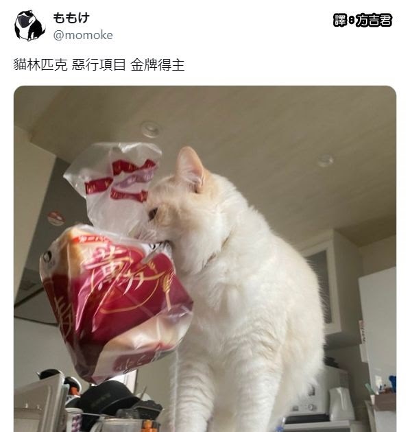 [轉載][方吉君翻推特] 推特上在夯什麼 Part.1600
