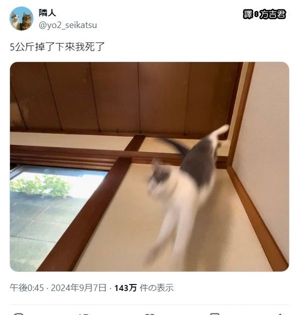 [轉載][方吉君翻推特] 推特上在夯什麼 Part.1637
