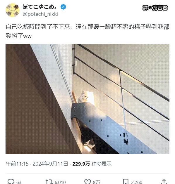 [轉載][方吉君翻推特] 推特上在夯什麼 Part.1643