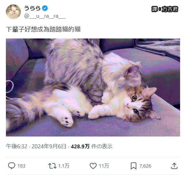 [轉載][方吉君翻推特] 推特上在夯什麼 Part.1647
